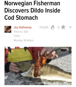 therealdjqualls:  Nervous Norwegian Fisherman Claims Cod Was