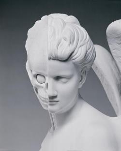 groovyhummus:  Damien Hirst The Anatomy of an Angel (detail)