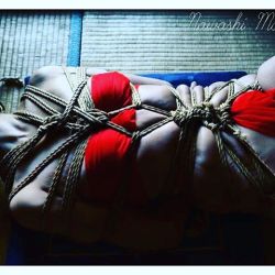 studiosunday:  Rollade #shibari #kinbaku #shibariart #kinbakuart