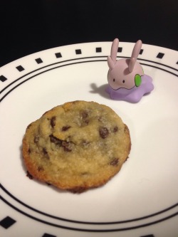 goomydoingstuff:  Enjoying a fresh baked chocolate chip cookie.