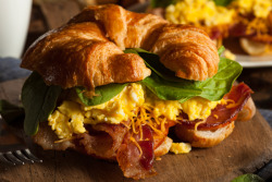 brenthofacker:  Egg and Bacon Breakfast Sandwich  Brent Hofacker