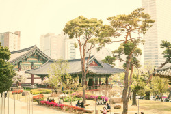 fuckyeahjapanandkorea:  Bongeunsa Temple, Seoul by Jirka Matousek 