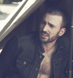 mightyevans:  one year of chris evans ↪ day 165: photographed