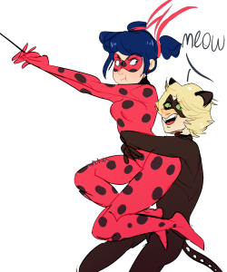 micheamich:  au BLACK LADYBUG 