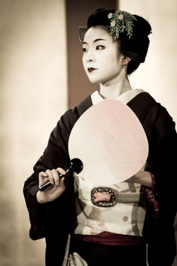 thekimonogallery:  Geisha-Kai :  Maiko Satono Dancing with Summer