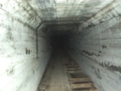 The death tunnel at waverly hills sanitarium . Such an interesting