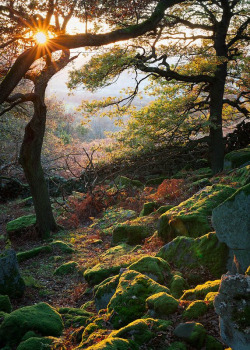 photoglr:  Gardom’s Edge, PeakGardom s Edge Peak District National