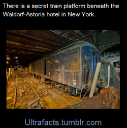ultrafacts:There’s also hundreds of closed subway stations