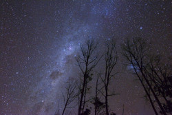 just–space:  The Glow Through the Trees, Australia  js