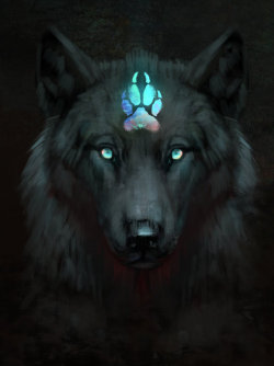 jademere: Wolf portrait compilation! Everything is facing left