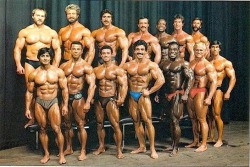 classicbodybuilders: A whole buttload of the classic guys. See