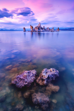 italian-luxury:  Mono Lake, California by Vicki Mar