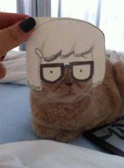 dorkly:  This Cat Makes the Perfect Tina from Bob’s Burgers