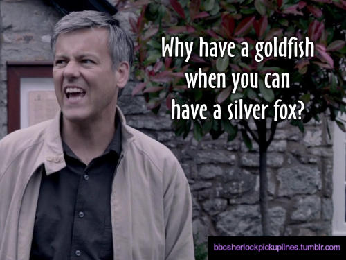 “Why have a goldfish when you can have a silver fox?”