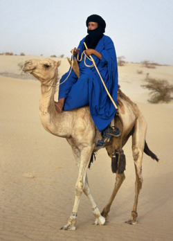 Indigo intrigue (a Tuareg tribesman atop his camel on the Sahara)