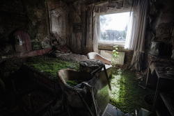 destroyed-and-abandoned:  “In a bed of grass” - Room