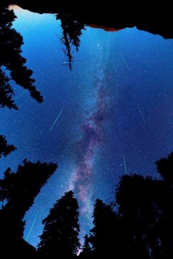 wavemotions:Perseid Meteor Shower by Matt Payne