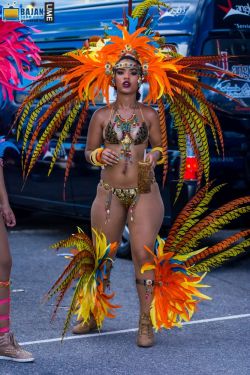 carnivalsfinest:  Trinidad 2015