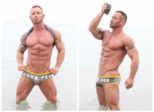 allmaleharem:  Scott Cullens   