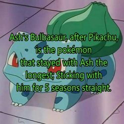 bulbasaur-propaganda:Some facts you need to know about the greatest