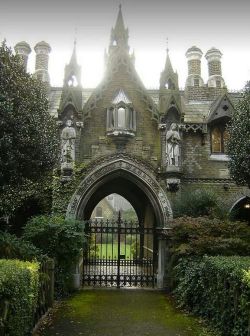 feerie-lily:  the-house-of-slytherin:  Some gothic cottages on