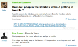 thatfunnyblog:  this is hands down the best yahoo answers  