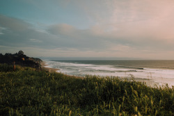 stephaniedolen:  la selva beach, california