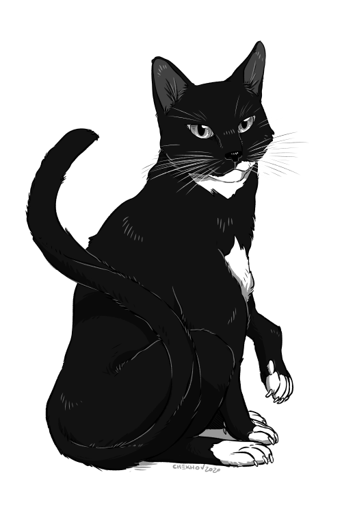 chekhovdraws:A lovely pet portrait for @pearwaldorf​ of the