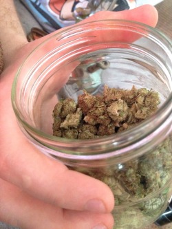 tiannajuana:  Massive jar of Sour Jack (Sour Diesel x Jack Herer)