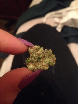 senniyuh:Nug lyf