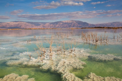naturalsceneries:  Israel: “Color and texture in the Dead Sea,”