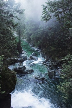 matchbox-mouse:  British Columbia is spellbinding. Fog, water,