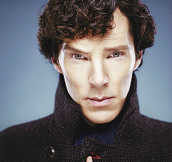 lauranoncrede:  Benedict Cumberbatch, Martin Freeman by Ian Derry