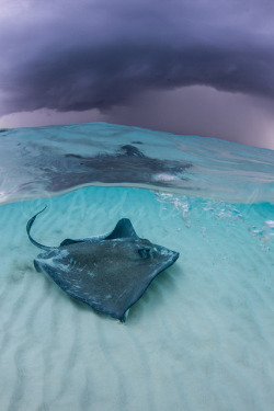 thelovelyseas:  Stormy Skies over Stingray City by andy_deitsch on
