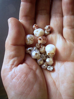 sixpenceee:Perfectly carved, tiny skulls made from pearls. Artist: