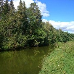 #Izh #river, #Udmurtia #река #Иж #Удмуртия  latergram