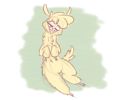 heirofrickdraws: So I visited an alpaca ranch today, and let