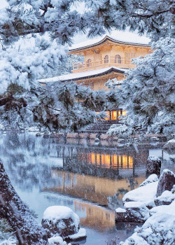 coiour-my-world:Kinkakuji-temple, Kyoto, Japan | criss1016