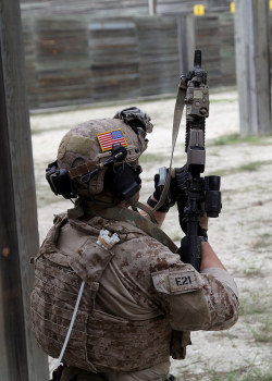 militaryarmament:   SEALs with Naval Special Warfare Group 2