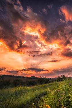 sundxwn:  Summer sunset by Cezar Machidon 