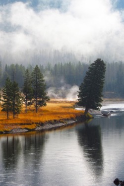 bluepueblo:  Misty, Yellowstone, Wyoming photo via katelyn