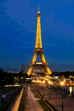 plasmatics-life:  Tour Eiffel ~ By Murray Fredericks