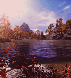 Beyond the Bounds.
