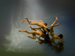 20aliens:  Ed Freeman