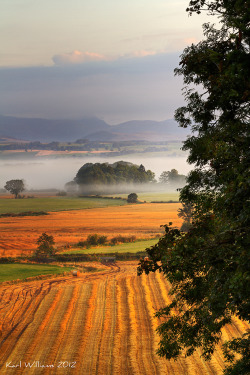 allthingseurope:  Stirlingshire, Scotland (by Shuggie!!) 