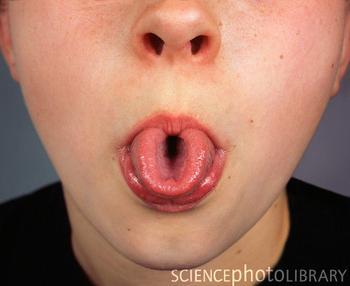 FOR SCIENCE - Can You Roll Your Tongue?