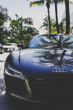 envyavenue:  Audi R8 on Palm Beach by Prestige Imports