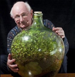 ohscience:  This terrarium hasn’t been opened in 40 years!