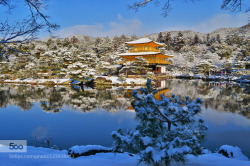 keralahoneymoontourpackage:  Winter in Japan, Kinkakuji