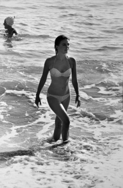 starsensuelles:  Bill Ray - Natalie Wood, 1963. 
